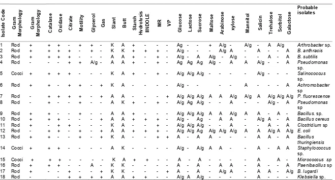 Table 4. Biochemical characteristics of bacterial Isolates from both pristine and impacted rhizosphere soil  