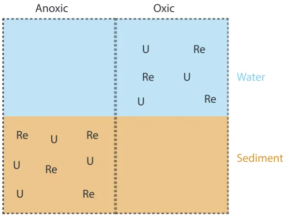 Figure 1.3: Summary of the conditions leading to U and Re enrichment in sediments.