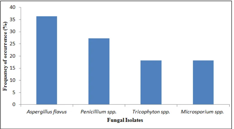 Fig. 2. Percentage occurrence of fungal isolates 