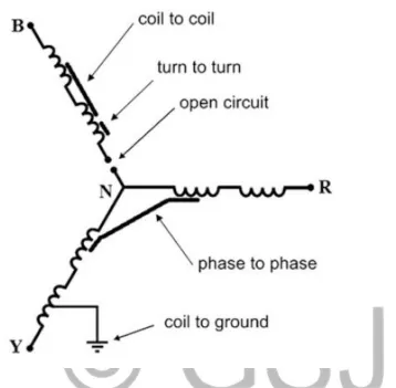 Figure 2.3: Star-connected stator showing different types of stator winding fault 
