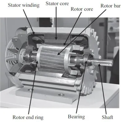 Figure 3.1: A dissected induction motor 
