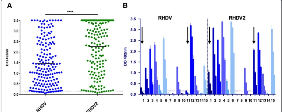 Figure 2 Antibody responses in RHDV and RHDV2 vaccinated rabbits analyzed by indirect ELISA