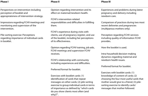 Table 2: Interview content, by phase of evaluation