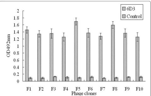 Figure 3 The mAb 6D3 specifically recognizes clones selected from the phage display peptide library