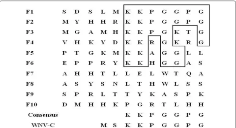 Table 1 The oligonucleotides encoding full-length and truncated versions of the KKPGGPG motif