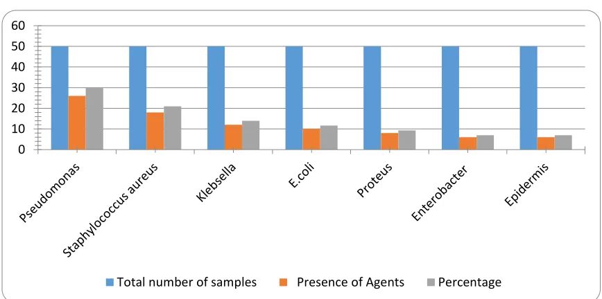 Figure 7. Antibiotic sensitivity against Enterobacter 