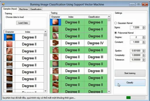 Fig. 17. Burn Image Classification User Interface 