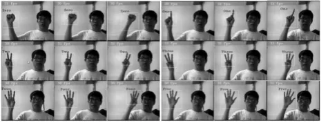 Figure 13. Examples of hand poses classification on video-sequences 