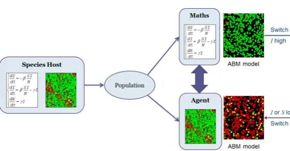 Figure 2. Representation the dynamic of "Switch" model