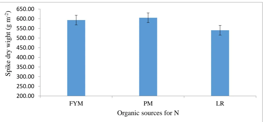 Figure 17. Stem dry weight (g m-2) at maturity as affected by FN application (methods/ time).Vertical bars represent standard errors of means within each comparison 