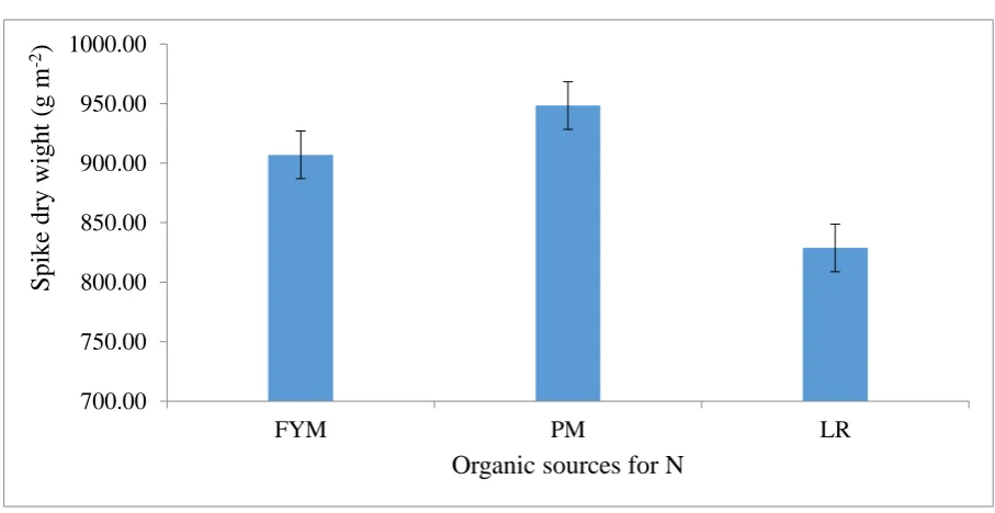 Figure 21. Spike dry weight (g m-2) at maturity as affected by FN application (methods/time)