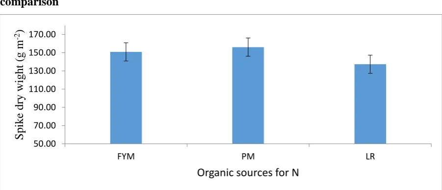 Figure 9. Spike dry weight (g m-2) at pre anthesis stage as affected by FN application (methods/time)