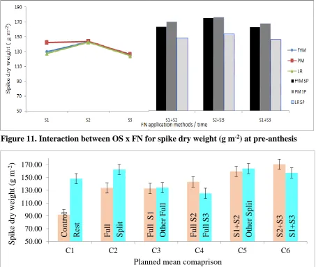 Figure 11. Interaction between OS x FN for spike dry weight (g m-2) at pre-anthesis 