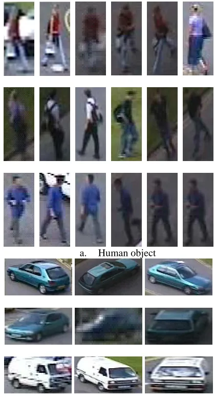 Figure 8: The result of human object classification 
