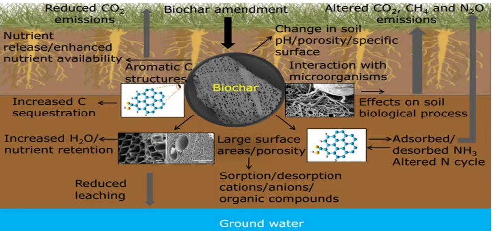 Figure 3. Multi-dimensional benefits of biochar an agriculture and environment  