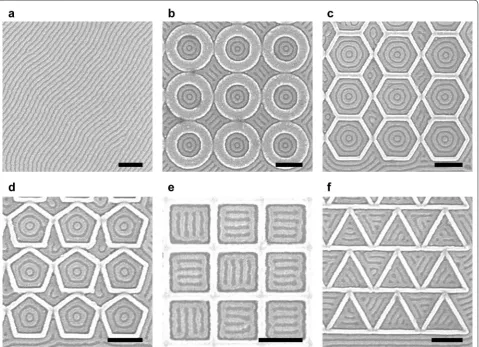 Fig. 1 Scanning electron microscope (SEM) images of untemplated and templated block copolymer patterns