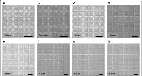 Figure S1a).Next, we investigated whether the binary state of the four neighbors was correlated with the binary state of the surrounded square