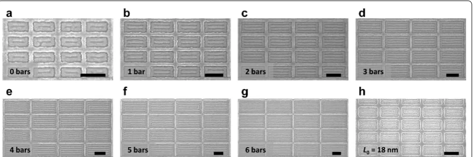 Fig. 5 SEM images of aligned ladder‑shaped block copolymer patterns inside rectangular confinement
