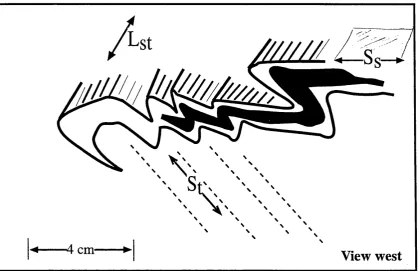 Figure 3.19 