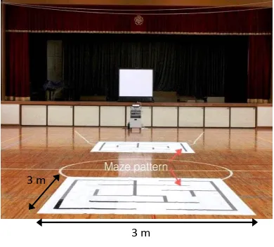 Figure 6  Maze pad 