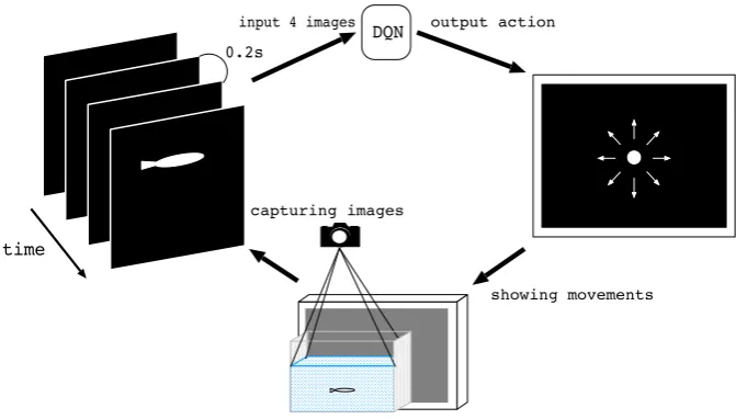Figure 2: Experimental set-up