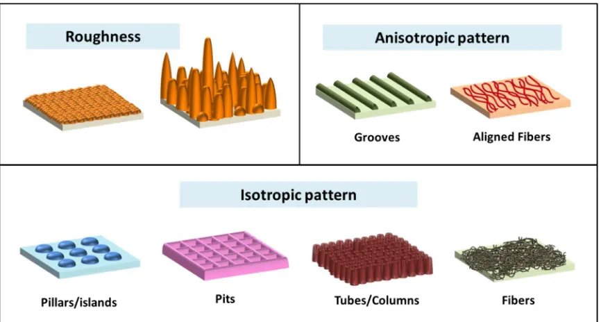 Figure 1.1 Roughness, Anisotropic pattern, and Isotropic pattern.  Schematic illustration of different factors affecting surface topography:  