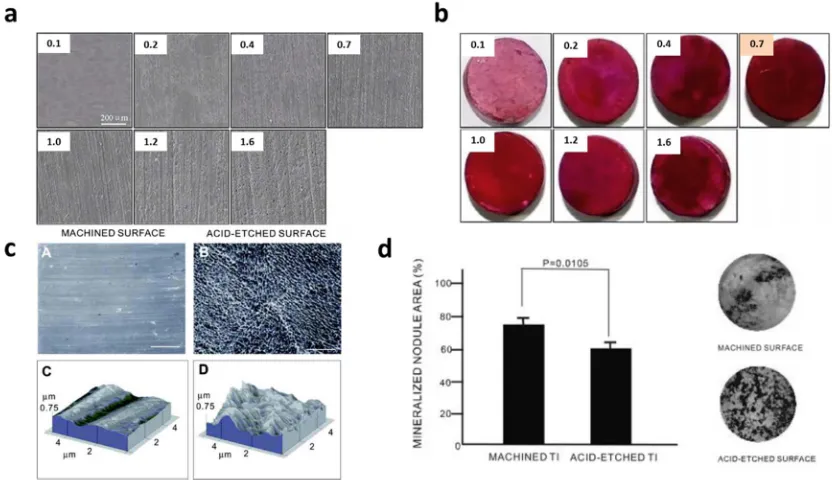 Figure 1.2 Examples of surface roughness influences cell behaviors (apermission from ref 9