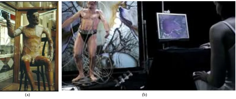 Figure 2. JoAn 1992 (a), Epizoo 1994 (b) 