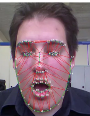 Figure 4. We have the projection of the 3D head model correctly superposed on the points from the face tracking