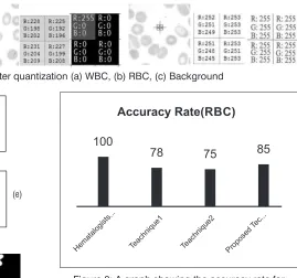 Figure 4: Sample pixel values after quantization (a) WBC, (b) RBC, (c) Background