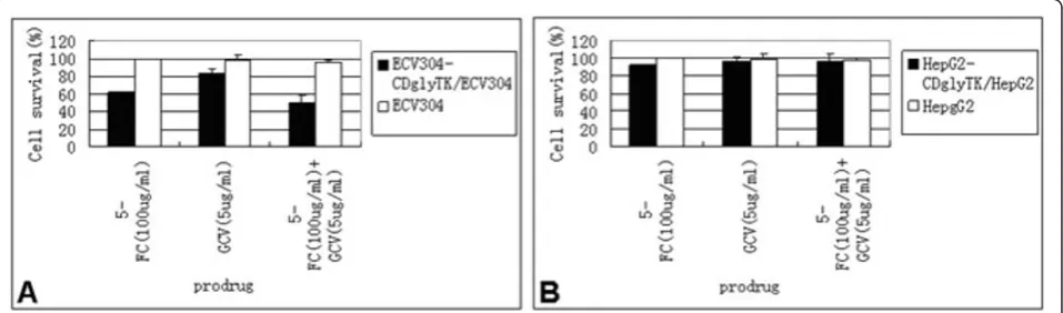 Figure 3 Cytotoxicity is dependent on concentration of the prodrogs. Sensitivity of ECV304-KDR-CDglyTK, HepG2-KDR-CDglyTK, ECV304 andHepG2 cells to GCV or 5-FC or both of them.