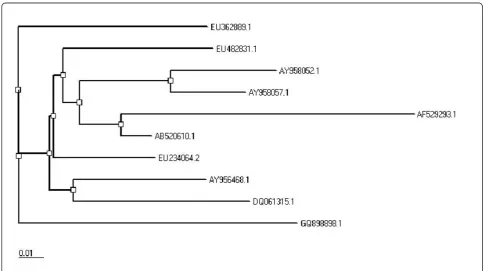 Figure 1 Phylogeny of local envelope gene sequence with published sequences for HCV genotype 1a from different localities of theworld.