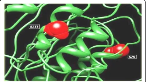 Table 2 Summary of predicted tyrosine phosphorylation sites