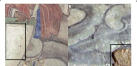 Fig. 2 Example of flaking-related deterioration in an ancient temple mural. a Paint layer flaking
