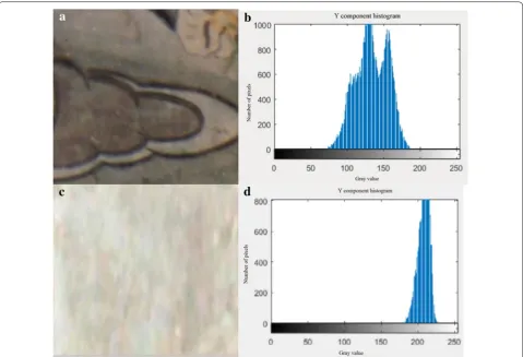Fig. 3 Earth layer and paint layer luminance histogram. a Paint layer image. b Paint layer luminance histogram