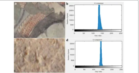 Fig. 6 Contrast diagram of the Hue histogram. a Intact mural image. b Hue histogram of intact mural
