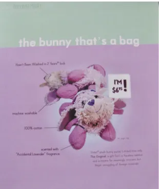 Figure 3. One of Sue’s Advertisements. Photo: Judith Briggs