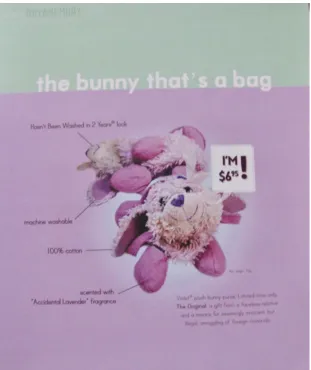 Figure 3. One of Sue’s Advertisements. Photo: Judith Briggs