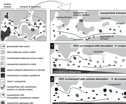 Figure 1. “Worst case scenario” processes by which CNMs may facilitate the transport of HOCs