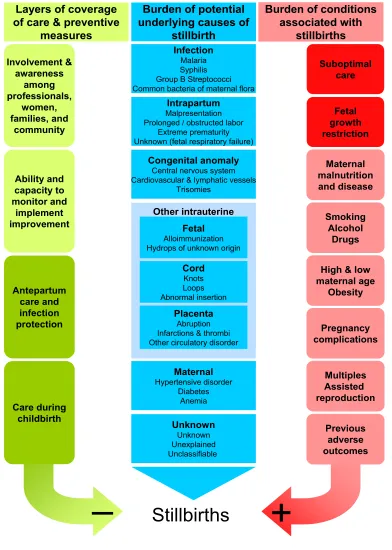 Figure 1Stillbirth determinantsStillbirth determinants. A framework of the setting and conditions that constitute the data sources needed for the under-standing of stillbirth mortality