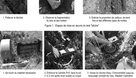 Figure 1 : Etapes de mise en œuvre du test "bêche" 