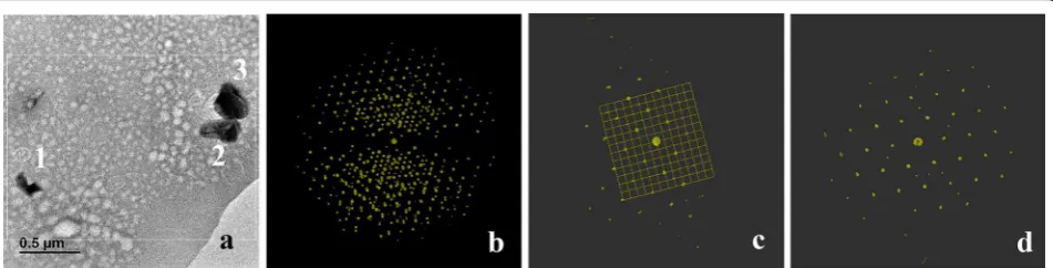 Fig. 3 a FIB cutted thin slice of green tesserae containing several opacifier crystals (crystals 1 and 2 selected for ADT