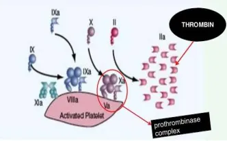 Fig. 2. Initiation phase   