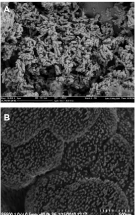 Figure 1.7. Polymer monolith-nanoparticle hybrids, (A) poly(HEMA-co-EDMA) 