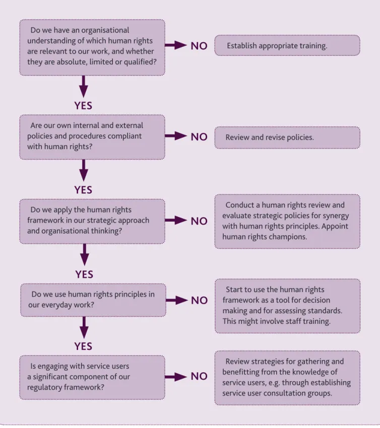 Figure 1 - A step by step process for harnessing the human rights framework as a tool for     effective regulation and inspection