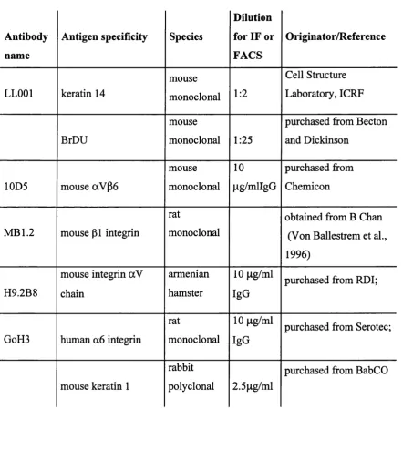 Table 2.1. Primary antibodies