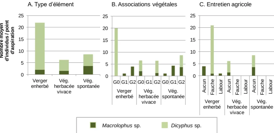 Figure 6 : Abondance (moyenne par point d'aspiration) des mirides auxiliaires au sein des différents types d'éléments (A), en fonction des associations de plantes hôtes (B) et de leur mode d'entretien agricole (C)