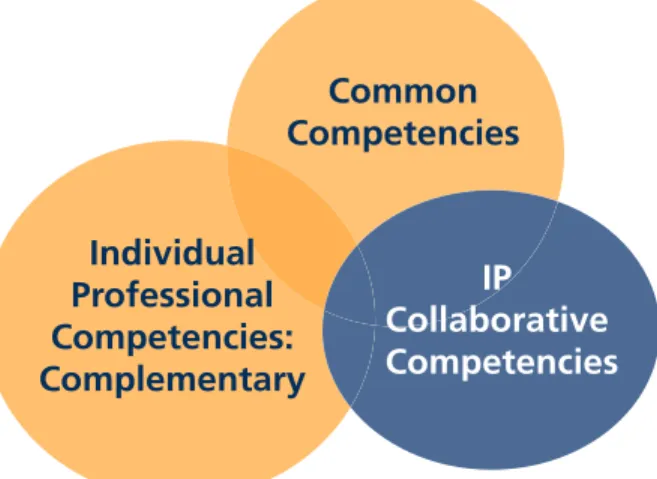 FIGURE 4: Barr’s (1998) three types of professional competencies