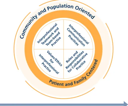 FIGURE 6: Interprofessional Collaborative Practice Domains