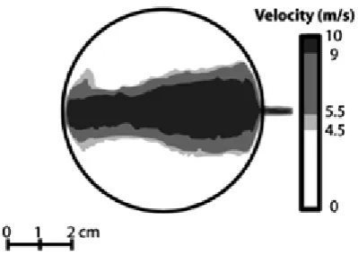Figure 1.2: ‎Calculated flow velocities from a barrel shaped sample chamber with internal volume 33 cm3
